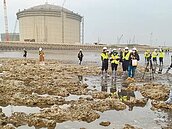 缺電　第4波民營電力採購創新高