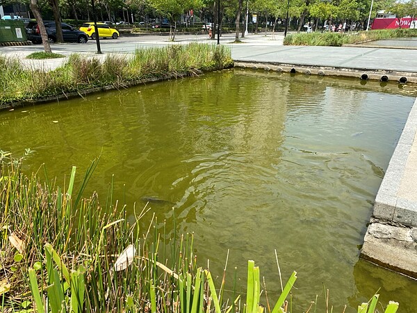 久旱水池優養化，台中市建設局送水救魚命。圖／台中市建設局提供