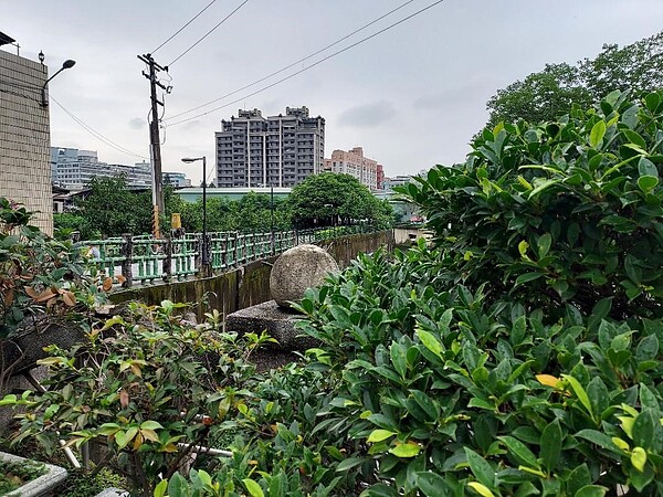 果園呈現都會中難見的鄉村景致。圖/夏曉山攝