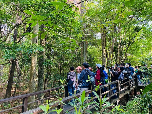 植物園是台北市最知名的賞鳥、聽鳥與拍鳥勝地。(楊欽亮/攝)
