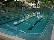 北市12校泳池開放　比運動中心便宜