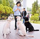 官邸志工染疫　總統急篩為陰性