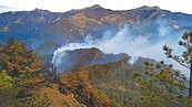 八通關杜鵑營地大火　盼大雨澆熄