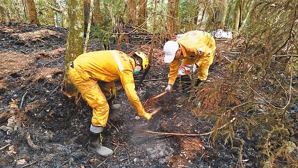 馬崙山森林火災至23日已延燒5天，森林護管員頭頂烈陽投入滅火。圖／東勢林管處提供