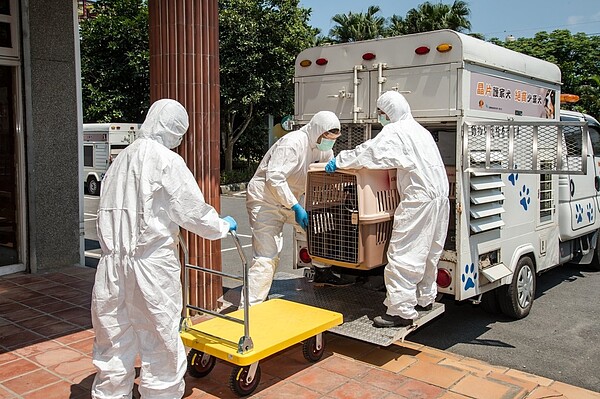 民眾一旦染疫確診或需要居家隔離,不必擔心家中寵物,縣政府會幫忙好好照顧,等待飼主康復後再把毛小孩帶回家。圖/宜蘭縣府提供