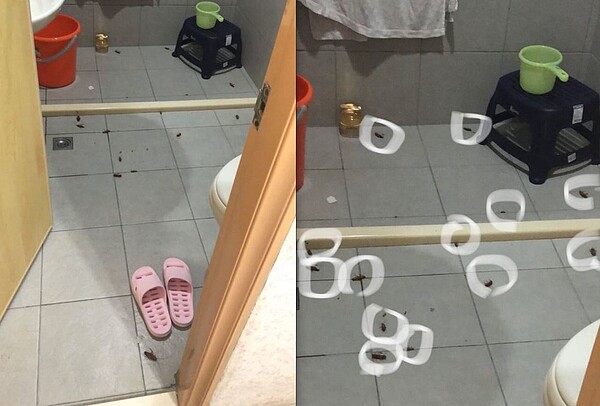 網友一進浴室看到滿地蟑螂。圖/截自Dcard