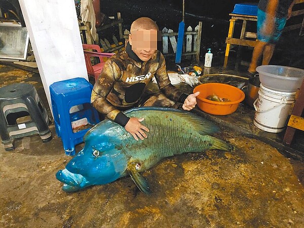 蘭嶼李、謝2男獵殺龍王鯛，被台東地檢署提起公訴，照片成為鐵證。（民眾提供／莊哲權台東傳真）