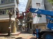 台南移除府中商圈風險樹木　守護用路人安全