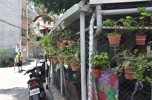 黃清順里長注重綠化，自費購買盆栽妝點環境。圖／江翊柔攝