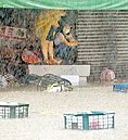 雙北暴雨泡水　中南旱象還是無解