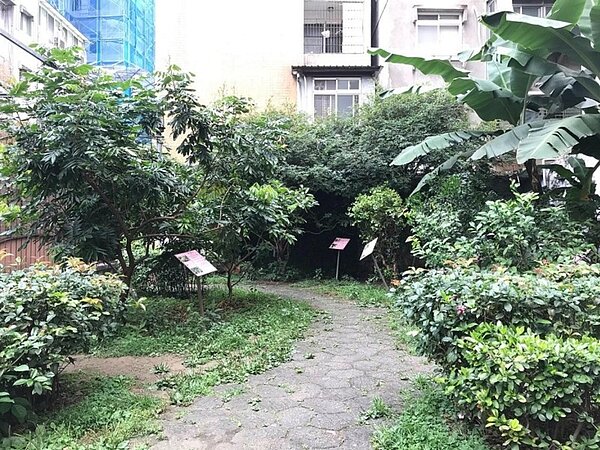 正興里的水果公園,種植了不少果樹。圖/甄曌珞攝影