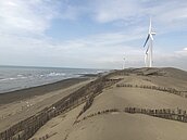 7萬噸汙泥染黑「台版撒哈拉」　業者省9.7億讓藻礁也遭殃