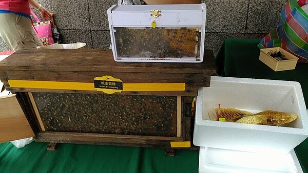 城市養蜂蜂箱。圖/擷取自永貞里臉書粉專