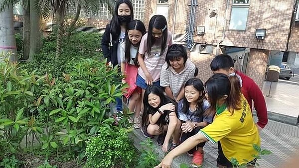 注意聆聽老師解說植物生長的神情。