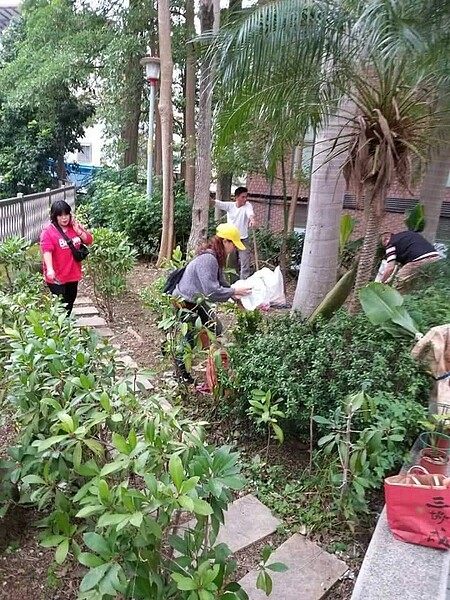 都市叢林的亮點。圖/彭柔安翻攝