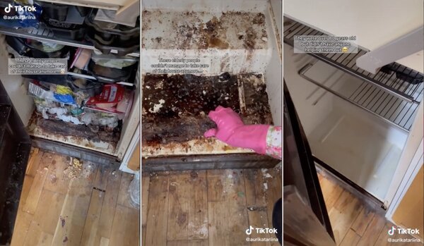一名網友在TikTok上PO出幫奶奶清冰箱的短片，原本滿滿污垢的冰箱，經過她的巧手清潔變得跟新的一樣。圖／擷自TikTok
