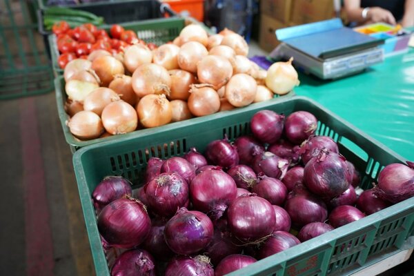 洋蔥價格穩定、營養價值高，且保存容易，是民眾防疫期間採購的好選項。圖／新北市農業局提供
