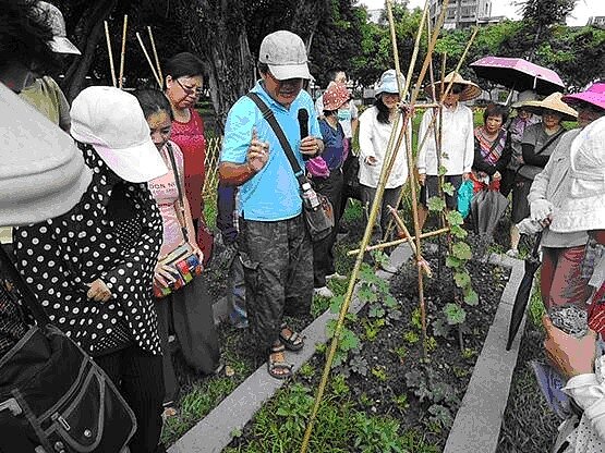 新板可食地景有景觀功能,更有公益的效益,可將裡面所種植的蔬菜捐給有需要的人。圖/截自新北市政府網站
