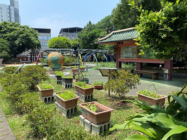 前庭的綠園由師生和生態志工共同維護。圖/柯彤陵攝