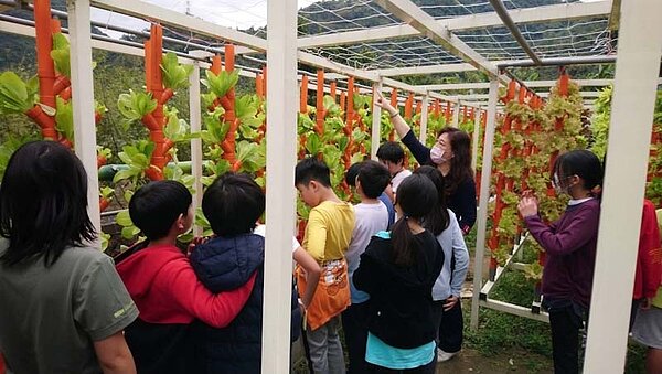 小學 新店 雙峰國小 新店樂生活