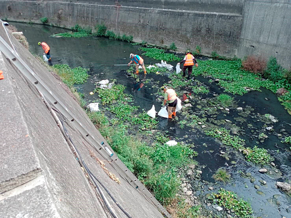 排水道魚群暴斃多,台中市分工合作確保河域環境品質。圖/台中市水利局提供