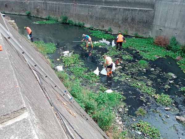 排水道魚群暴斃多，台中市分工合作確保河域環境品質。圖／台中市水利局提供