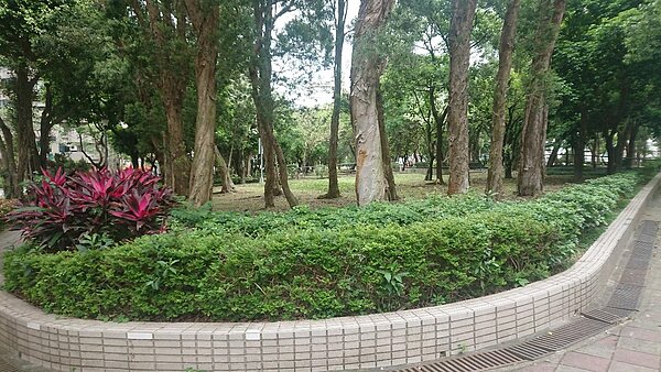 康寧公園外觀綠意盎然。圖／徐子為攝