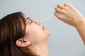 居家快篩試劑實測　10分就出爐