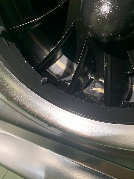 廚房抽油煙機裡竟有八哥。圖/翻攝自Dcard