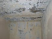 看到房子「慘況」仍想買！網讚好殺價：搞定後7年都沒事