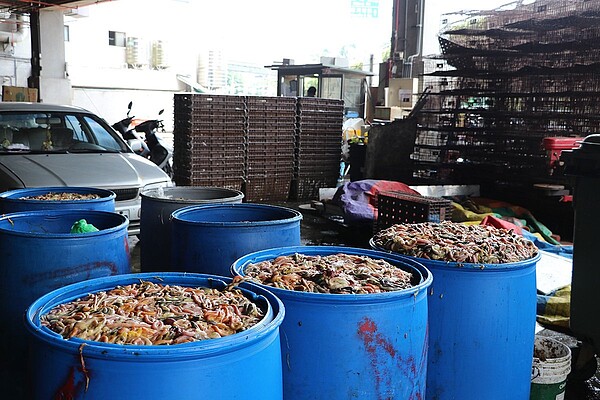 此外,雙北活禽交易每天從中南部運送十萬隻活禽產生的羽毛、糞便等廢棄物最後還必須再運回中南部處理,環境造成負擔,加劇禽流感散播的風險。圖/台灣動物社會研究會提供