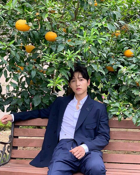 宋仲基已經全面停工。圖/摘自IG