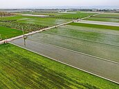 別再誤會了！農地農用才可以免繳地價稅