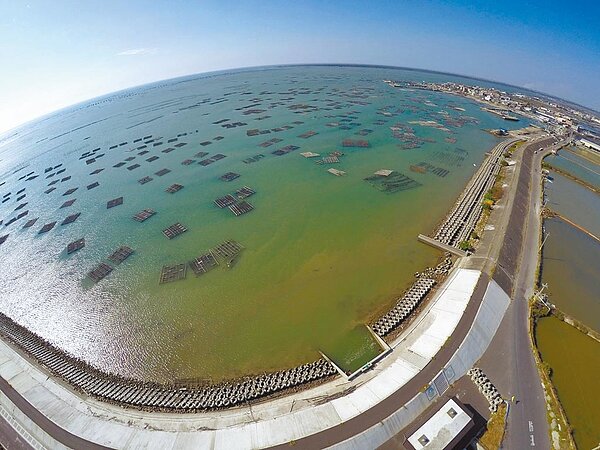 嘉義縣沿海近年牡蠣放養量增加，浮筏式蚵棚數量增加1300棚，因各養殖區的蚵棚密度變高，衍生出占位糾紛。圖／嘉義縣政府提供
