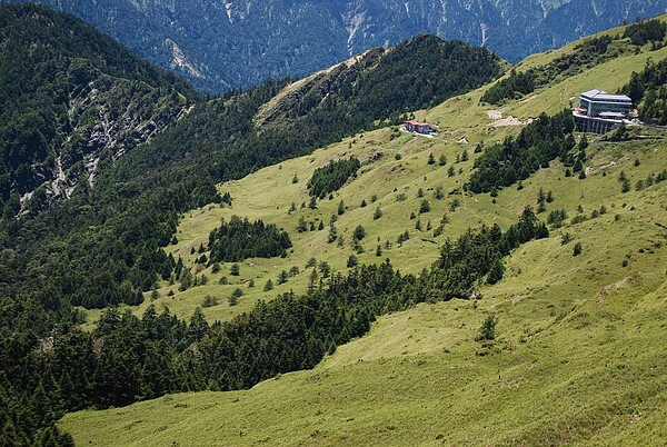 合歡山7月13日起實施人流管制。圖/東勢林管處提供