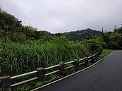 欠稅大戶陳由豪潛逃陸　在台土地陸續拍定賣出