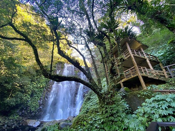 微解封首日入園人數最多的為北部的滿月圓國家森林遊樂區,截至下午四點累計入園人次超過960人。 圖/擷自滿月圓國家森林遊樂區臉書粉專