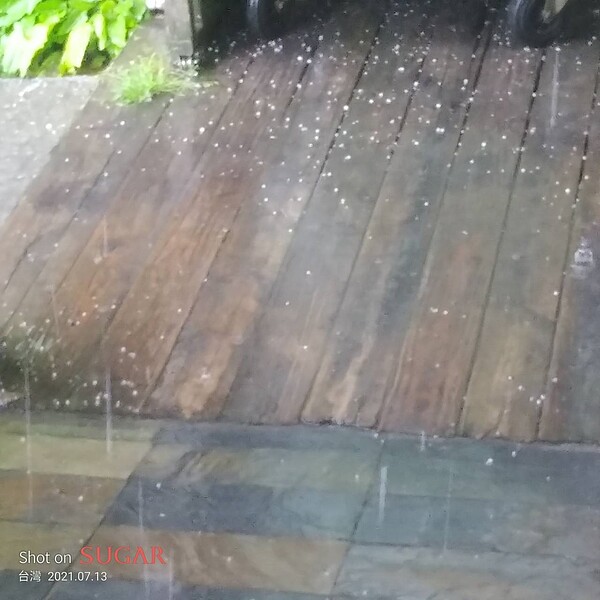 南投山區13日下午下雷雨，合歡山松雪樓一帶還降下冰雹。圖／「臺灣追雪團」楓林提供
