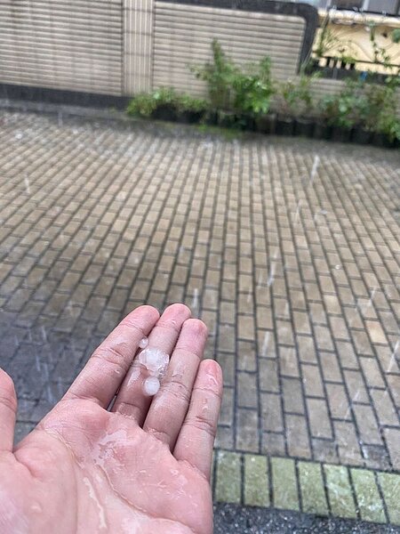 屏東縣突降冰雹,民眾嗨翻。圖/翻攝自PTT屏東版