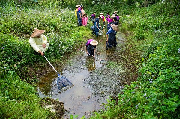 荒野保護協會守護雙連埤濕地生態有成,11日與縣府共同澄清生態教室使用爭議,今後荒野會與地方共用空間,而客家文化館從頭到尾都不是個被納入討論的選項。圖/荒野提供