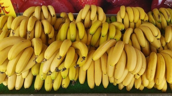 香蕉示意圖。 本報資料照片