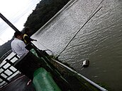抓到了！水質感測器立功　逮獲畜牧場非法排放污水