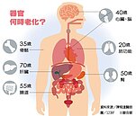 器官變老有時間表　及時存老本