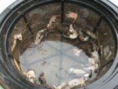 打開水塔驚見12具鼠屍！屋主崩潰：是全家人的飲用水...