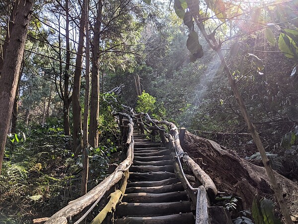 健腳級的大坑4號登山步道。圖／台中市府觀旅局提供