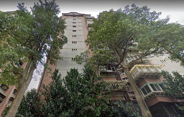 大安國宅 google maps