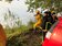 阿里山火災未滅　林管處課長遭落石擊中送醫　台18線恐難開放