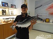 雲林送整尾鮭魚！各路鮭魚洄游而來包括「張鮭魚之夢」