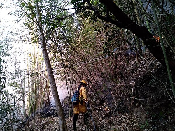 火災情況可能有所變化，目前現場人員不間斷投入救災中。圖／取自「阿里山國家森林遊樂區」臉書粉專
