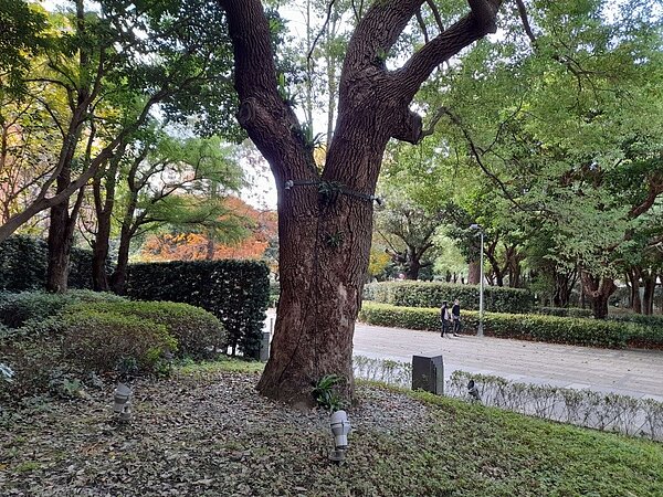 隱身北市長春路巷弄的松基公園。